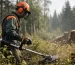 Comment choisir une débroussailleuse forestière